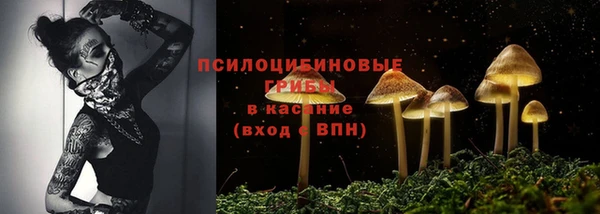 хмурый Бронницы