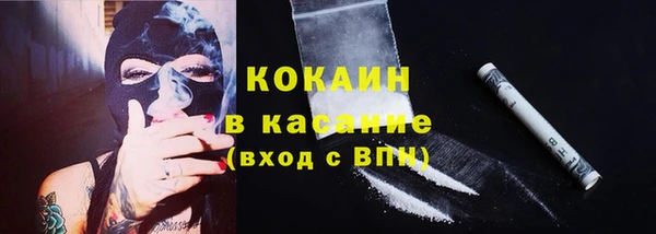 стафф Богородск